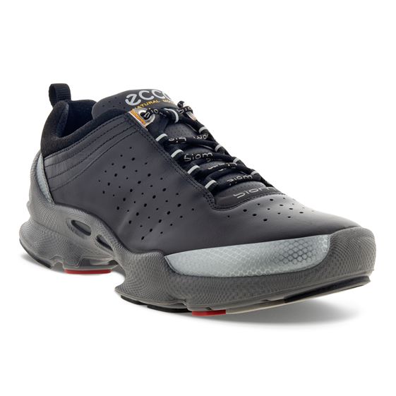 ecco biom c2-1